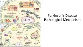 Parkinson Disease Pathogenesis #Code: 544