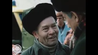 Задача с тремя неизвестными. Советские фильмы. СССР