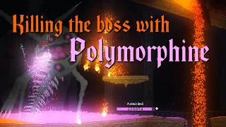 Full Noita Run To Kill The Boss With Polymorphine