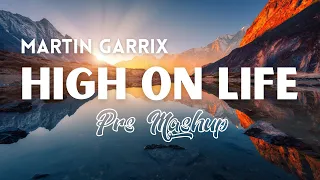 Martin Garrix feat. Bonn - High On Life (Prs Mashup)