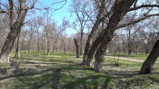 ЛУННЫЙ КАЛЕНДАРЬ, НАРОДНЫЕ ПРИМЕТЫ, ПРОГНОЗ ПОГОДЫ. 13 апреля 2019 года.