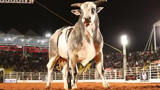 Rodeio de POMPEIA 2024 (SEXTA / MELHORES MOMENTOS)