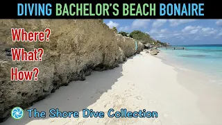 Diving Bachelor’s Beach Bonaire | The Shore Dive Collection | TropicLens - 4K