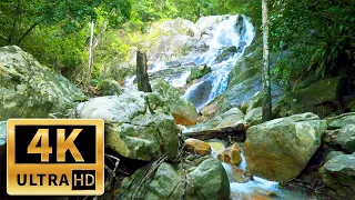 4K (Ultra HD) | Лес, горный ручей, умиротворяющая музыка для сна. Релакс на 1 час.
