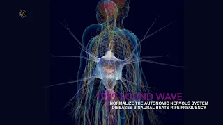 NORMALIZE THE AUTONOMIC NERVOUS SYSTEM DISEASES BINAURAL BEATS RIFE FREQUENCY