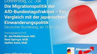 Migrationspolitik - Ein Vergleich mit der japanischen Einwanderungspolitik-AfD-Fraktion im Bundestag