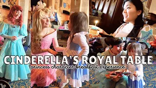 cinderella's royal table princess breakfast experience + my honest review/thoughts: was it worth it?