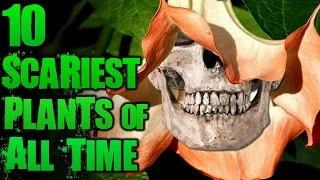 10 Unbelievably Scary Plants | TWISTED TENS #41