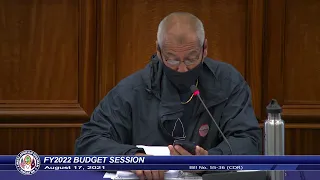 36th Guam Legislature FY2022 Budget Session - August 17, 2021 AM Pt.2