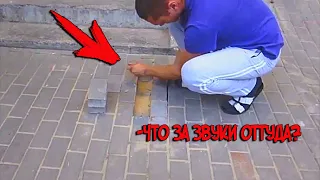 SOUNDS were coming from the ground! After removing the tile, the man fell a stupor from what he saw!