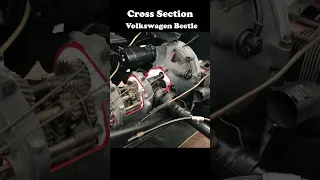 Cross Section Volkswagen Beetle #shorts