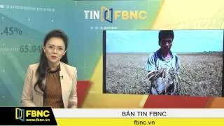 FBNC-Gần 524 tỷ đồng khắc phục hậu quả hạn hán, xâm nhập mặn