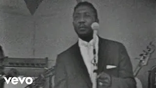 Muddy Waters - Got My Mojo Working (Live)