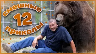 Смешные приколы №12. Лучшие приколы. Смешно до слез. Попробуй не засмеяться. Видео приколы. Смотреть