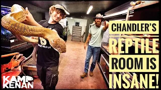 So many Dangerous Snakes & Lizards at Chandler's Wild Life!