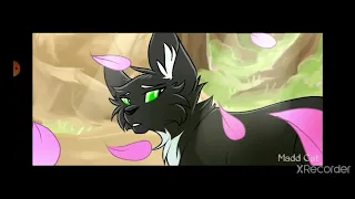 Warriors Cats: Squirrelflight tribute Animation