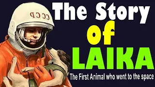 The sad story of Laika the space dog  #short #shorts # Laika