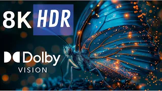 HIGH DYNAMIC RANGE in 8K (HDR) 60fps, Ultra HD Video, Oled Demo!