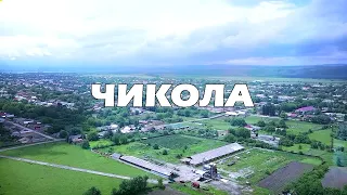 группа ПТИЦА - Чикола