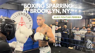 Boxing sparring in Brooklyn, NY | Alex Poatan Pereira