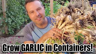 How to Plant Garlic in Containers