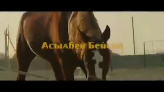 Асылбек Бейсов - Ән қамшы