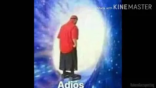 adios(cholo)