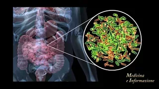 Microbiota e Cancro: che legame c'é?