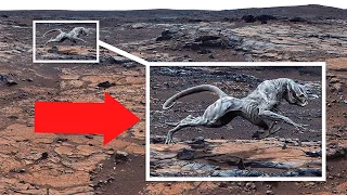Найдивовижніші відкриття, коли-небудь зроблені на Марсі