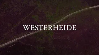 DJI Mini 2: Westerheide