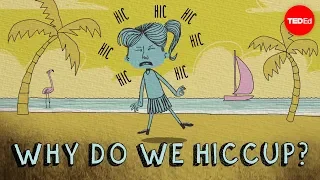 Why do we hiccup? - John Cameron