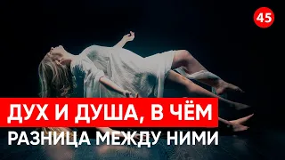 Дух и душа различие. Что такое дух? Что такое душа? Общение с родной душой. Ченнелинг.