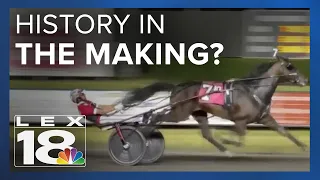 See a possible world record in harness racing at the Red Mile this weekend