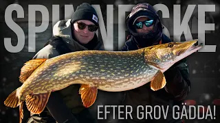 Spin fishing for big pike!
