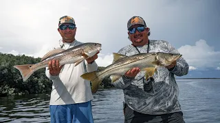 The Chase - Crystal River - Redfish, Snook, Trout!