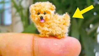 Die 20 Kleinsten Hunderassen der Welt!