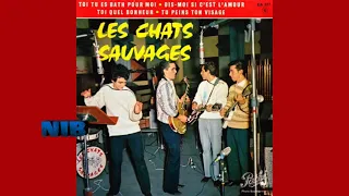 Les Chats Sauvages avec Dick Rivers  - Toi Tu Es Bath Pour Moi