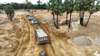 Mind Blowing To Backfill Small Bulldozer Pushing Clearing The Ground Mini Dump Truck Unloading Dirt