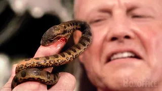 L'Invasion de bébés serpents | Anaconda, le prédateur | Extrait VF