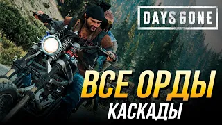 Days Gone - Все орды | Каскады