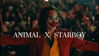 Animals x Starboy | Joker | Full Version | Slowed+Reverb | LofiStar