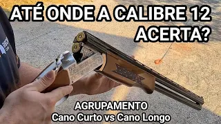 Qual alcance da Calibre 12? Testando Cano Curto 16" vs Longo 28" com Chumbo Fino, Grosso e Balote