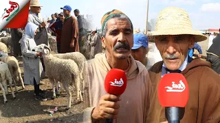 التجار والمواطنون يجمعون على غلاء الأضاحي بسوق الأربعاء بمراكش