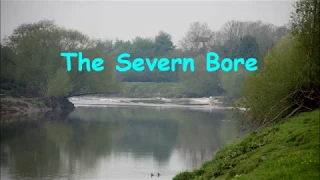 The Severn Bore - April 2019