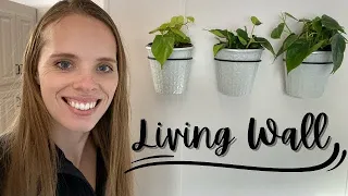 Creating A Living Wall! | Simply Bloom