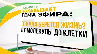 Откуда берется жизнь? От молекулы до клетки