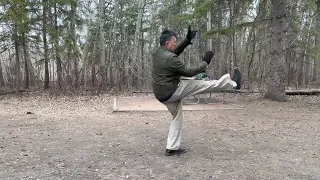 Tung Family Tai Chi Fast Form