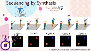An Overview of Sequencing By Synthesis in First and Next Generation Sequencing - Learn in 10 Minutes