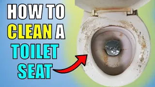 How To Clean A Toilet Seat Easily and Naturally