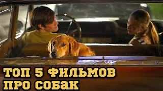 ТОП 5 ФИЛЬМОВ ПРО САМЫХ ВЕРНЫХ ДРУЗЕЙ